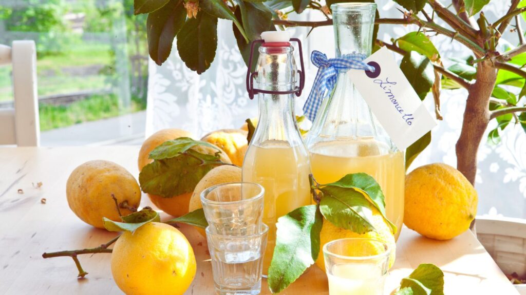 limoncello et ses citron