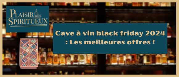 Lire la suite à propos de l’article Cave à vin black friday 2024 : Les meilleures offres !