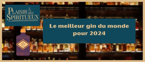 You are currently viewing Le meilleur gin du monde pour 2024
