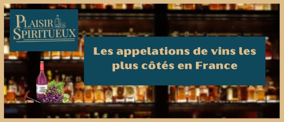 You are currently viewing Les appelations de vins les plus côtés en France